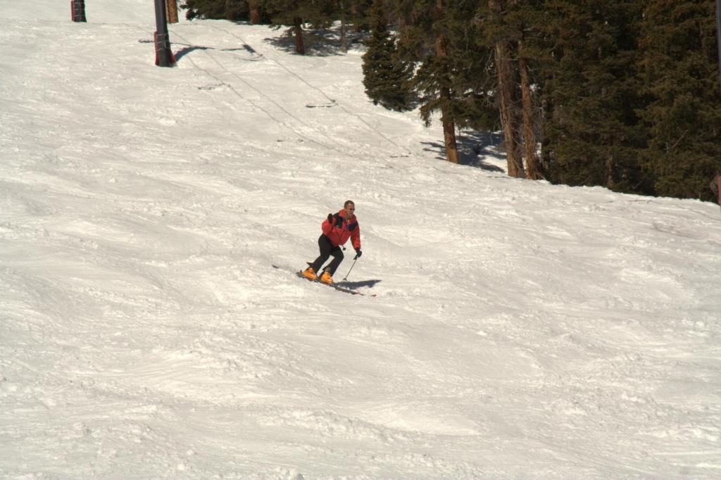 img_10249.jpg