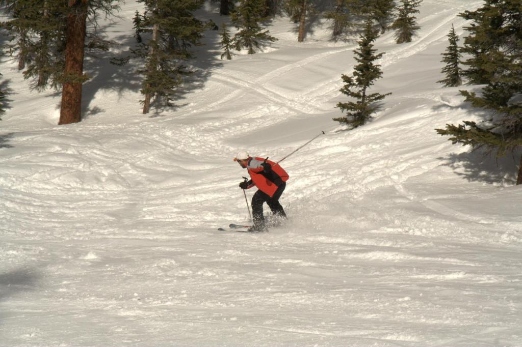 img_10288.jpg