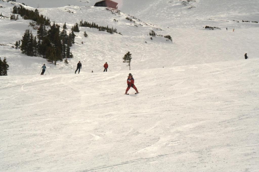 img_10361.jpg
