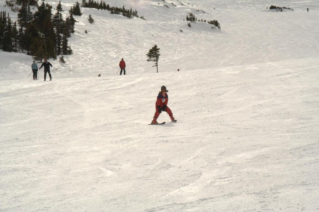 img_10362.jpg