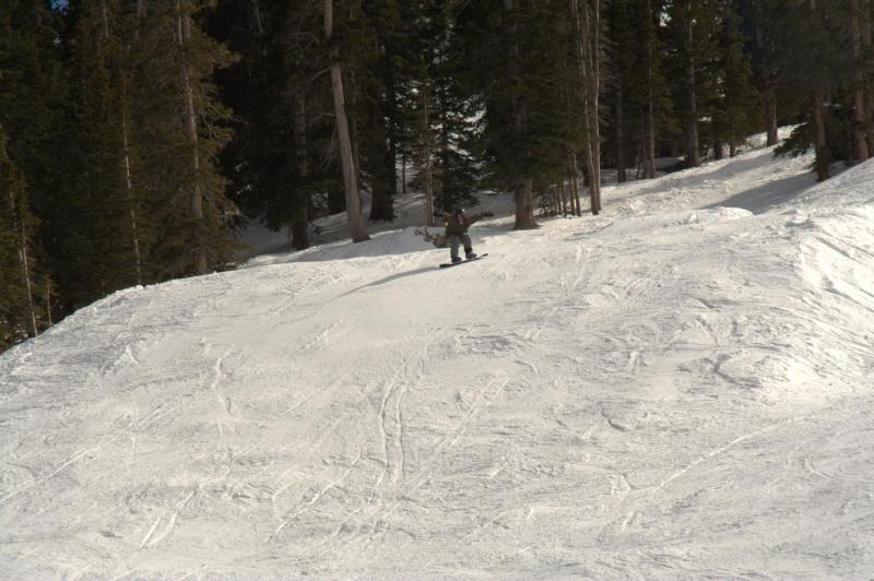 2007/03(March)/loveland/800x600_img_10312.jpg