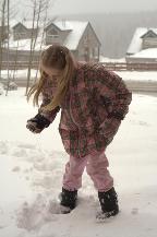 img_09979j.jpg