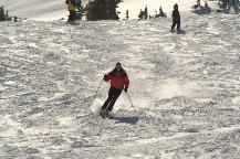 img_10017.jpg