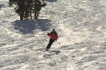 img_10019.jpg