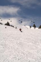 img_10064.jpg