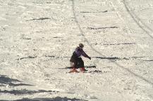img_10134.jpg