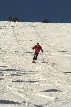 img_10150.jpg