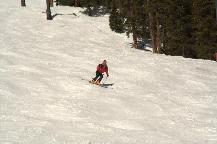 img_10249.jpg