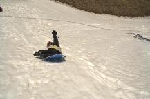 img_10252.jpg