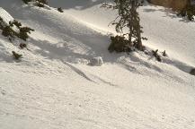 img_10274.jpg