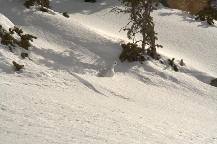 img_10275.jpg