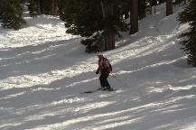 img_10279.jpg
