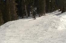 img_10312.jpg