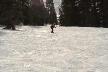 img_10330.jpg