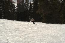 img_10331.jpg