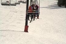 img_10339.jpg