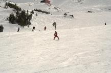 img_10361.jpg