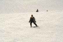 img_10368.jpg