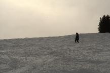 img_10379.jpg