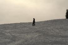 img_10380.jpg