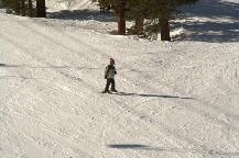 img_10391.jpg