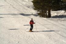 img_10393.jpg