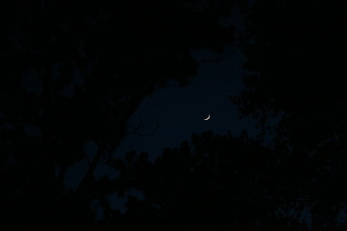 IMG_0726.JPG