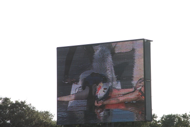 2007-08-25-RedBull-Flutag-Austin-47.JPG