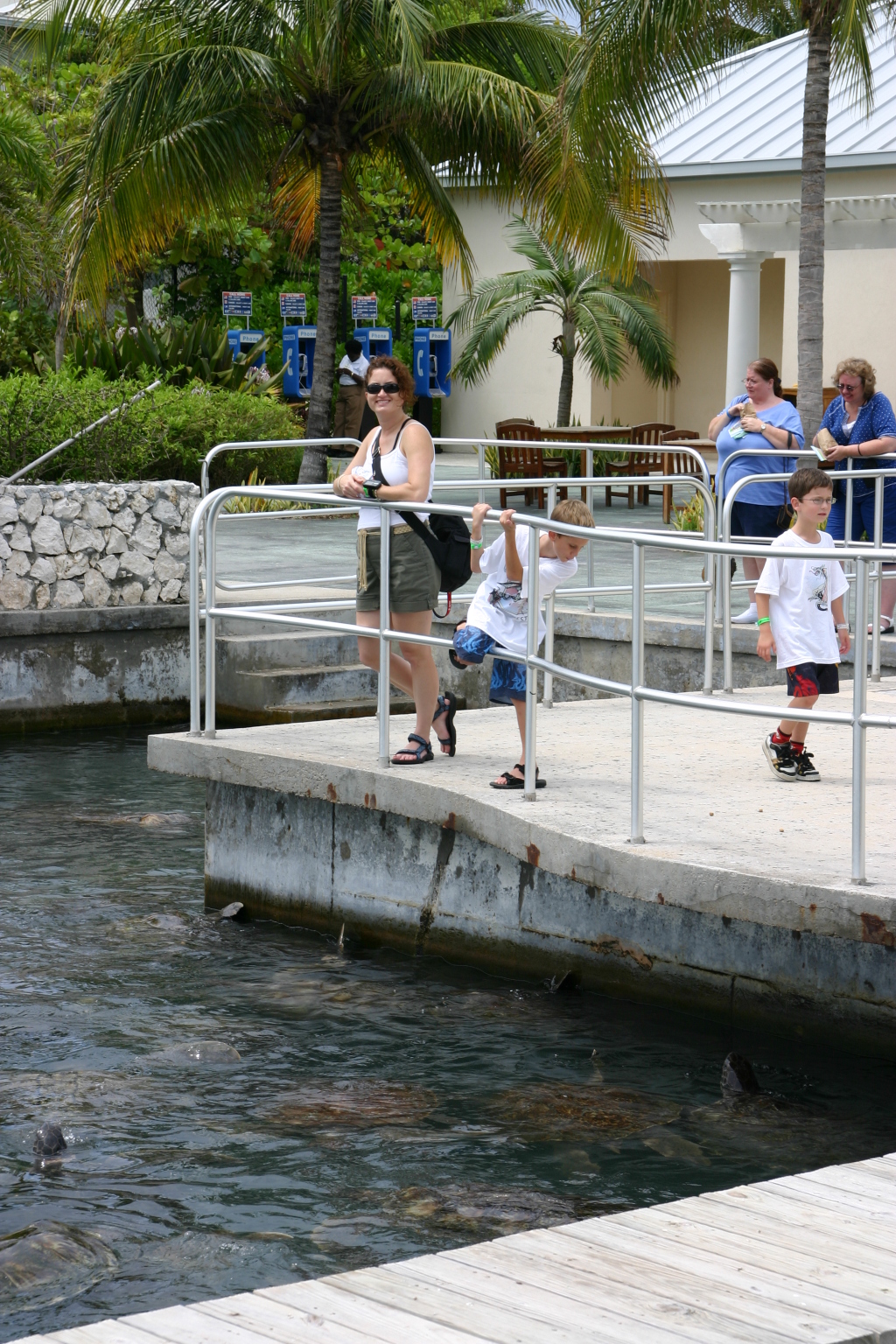2007/09(September)/2007-Disney-Cruise/Day4-Grand-Cayman/1024x768_2007-09-25-Disney-Magic-Cruise-06-Grand-Cayman-Turtle-farm-Suzi-Chance-Dax.JPG