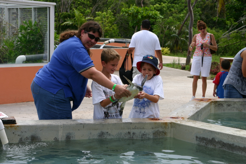 2007/09(September)/2007-Disney-Cruise/Day4-Grand-Cayman/1024x768_2007-09-25-Disney-Magic-Cruise-19-Grand-Cayman-Turtle-farm-Stacy-Chance-Jack.JPG
