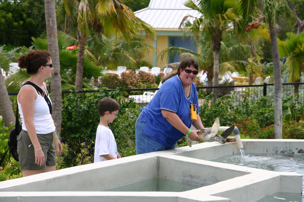 2007/09(September)/2007-Disney-Cruise/Day4-Grand-Cayman/1024x768_2007-09-25-Disney-Magic-Cruise-33-Grand-Cayman-Turtle-farm-Suzi-Dax-Stacy.JPG