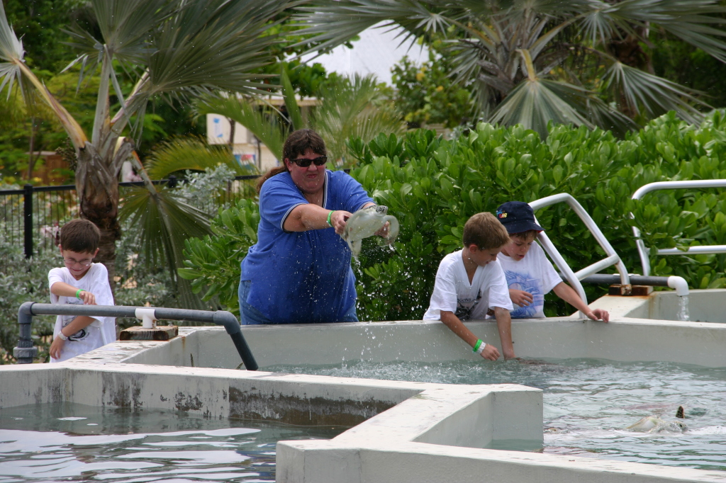 2007/09(September)/2007-Disney-Cruise/Day4-Grand-Cayman/1024x768_2007-09-25-Disney-Magic-Cruise-34-Grand-Cayman-Turtle-farm-Dax-Stacy-Chance-Jack-GOOD.JPG