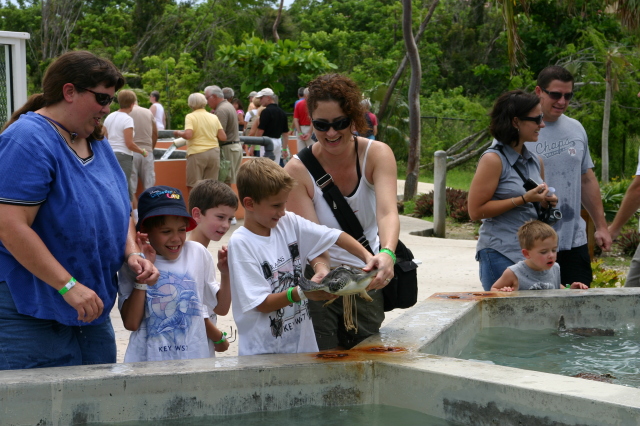 2007/09(September)/2007-Disney-Cruise/Day4-Grand-Cayman/640x480_2007-09-25-Disney-Magic-Cruise-10-Grand-Cayman-Turtle-farm-Stacy-Jack-Dax-Chance-Suzi.JPG