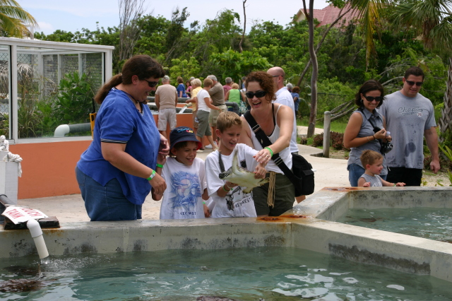 2007-09-25-Disney-Magic-Cruise-11-Grand-Cayman-Turtle-farm-Stacy-Jack-Chance-Suzi.JPG