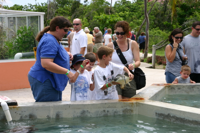2007-09-25-Disney-Magic-Cruise-12-Grand-Cayman-Turtle-farm-Stacy-Jack-Dax-Chance-Suzi.JPG