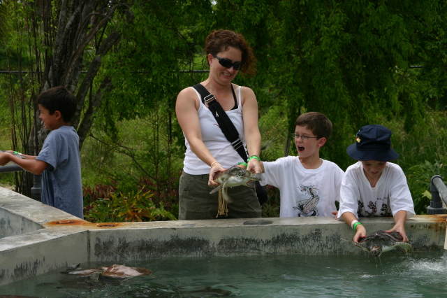 2007-09-25-Disney-Magic-Cruise-15-Grand-Cayman-Turtle-farm-Suzi-Dax-Case.JPG