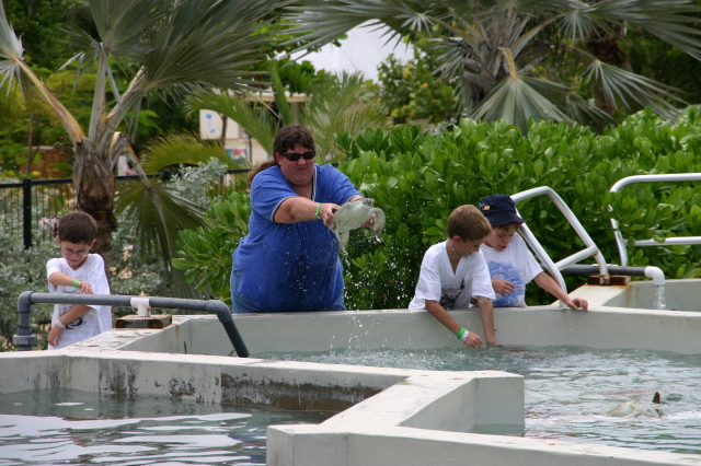 2007-09-25-Disney-Magic-Cruise-34-Grand-Cayman-Turtle-farm-Dax-Stacy-Chance-Jack-GOOD.JPG