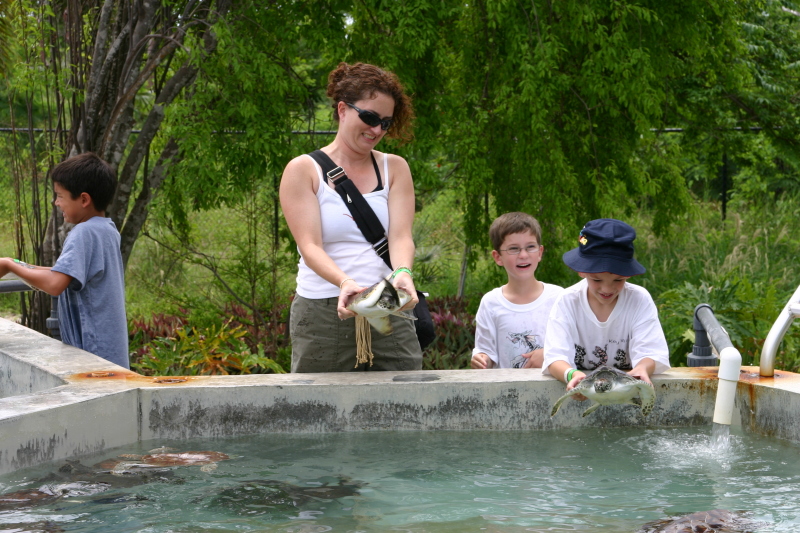 2007/09(September)/2007-Disney-Cruise/Day4-Grand-Cayman/800x600_2007-09-25-Disney-Magic-Cruise-16-Grand-Cayman-Turtle-farm-Suzi-Dax-Case.JPG