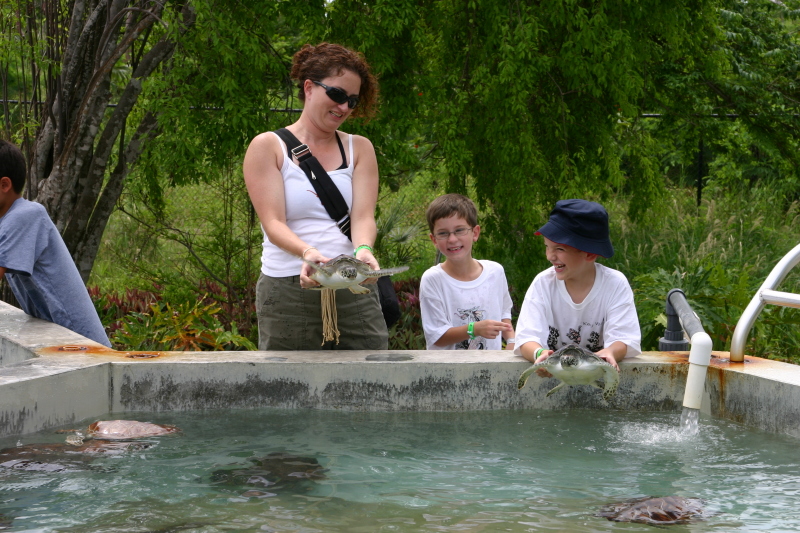 2007-09-25-Disney-Magic-Cruise-17-Grand-Cayman-Turtle-farm-Suzi-Dax-Case.JPG