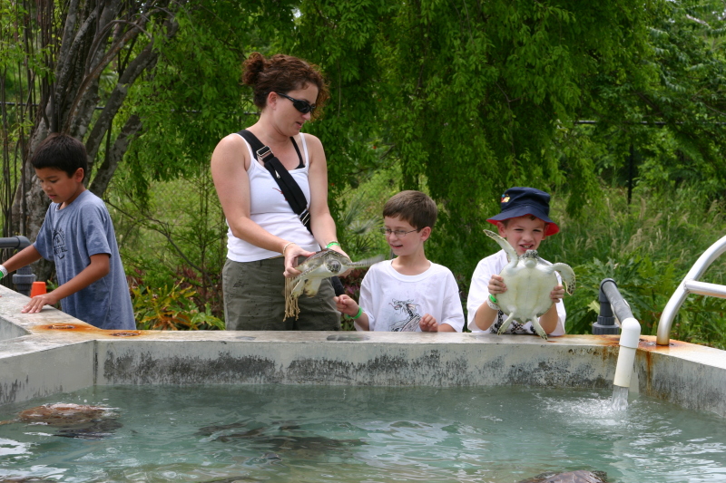 2007-09-25-Disney-Magic-Cruise-18-Grand-Cayman-Turtle-farm-Suzi-Dax-Case.JPG