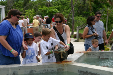 2007-09-25-Disney-Magic-Cruise-10-Grand-Cayman-Turtle-farm-Stacy-Jack-Dax-Chance-Suzi.JPG