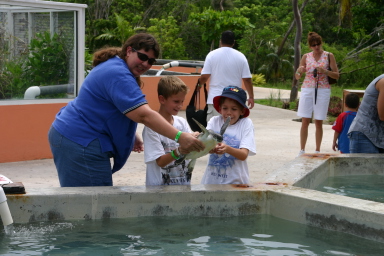 2007-09-25-Disney-Magic-Cruise-19-Grand-Cayman-Turtle-farm-Stacy-Chance-Jack.JPG