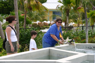 2007-09-25-Disney-Magic-Cruise-33-Grand-Cayman-Turtle-farm-Suzi-Dax-Stacy.JPG