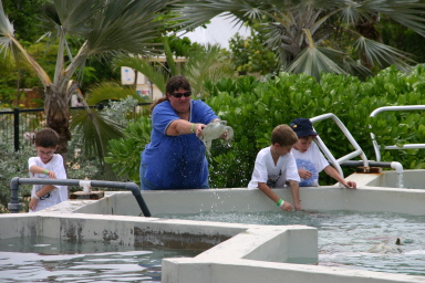 2007-09-25-Disney-Magic-Cruise-34-Grand-Cayman-Turtle-farm-Dax-Stacy-Chance-Jack-GOOD.JPG