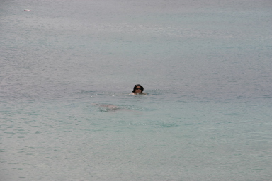 2007-09-25-Disney-Magic-Cruise-53-Grand-Cayman-7mi-beach-Suzi.JPG