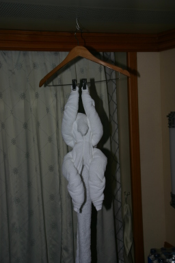 2007-09-26-Disney-Magic-Cruise-28-Monkey-towel.JPG