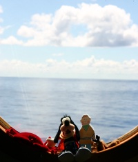 2007/09(September)/2007-Disney-Cruise/Day6/2007-09-27-Disney-Magic-Cruise-01-Flat-Stanley-cabin-window-sill.JPG