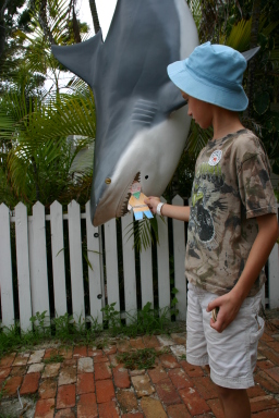 2007-09-23-Disney-Magic-Cruise-08-Key-West-Flat-Stanley-Chance-shark.JPG