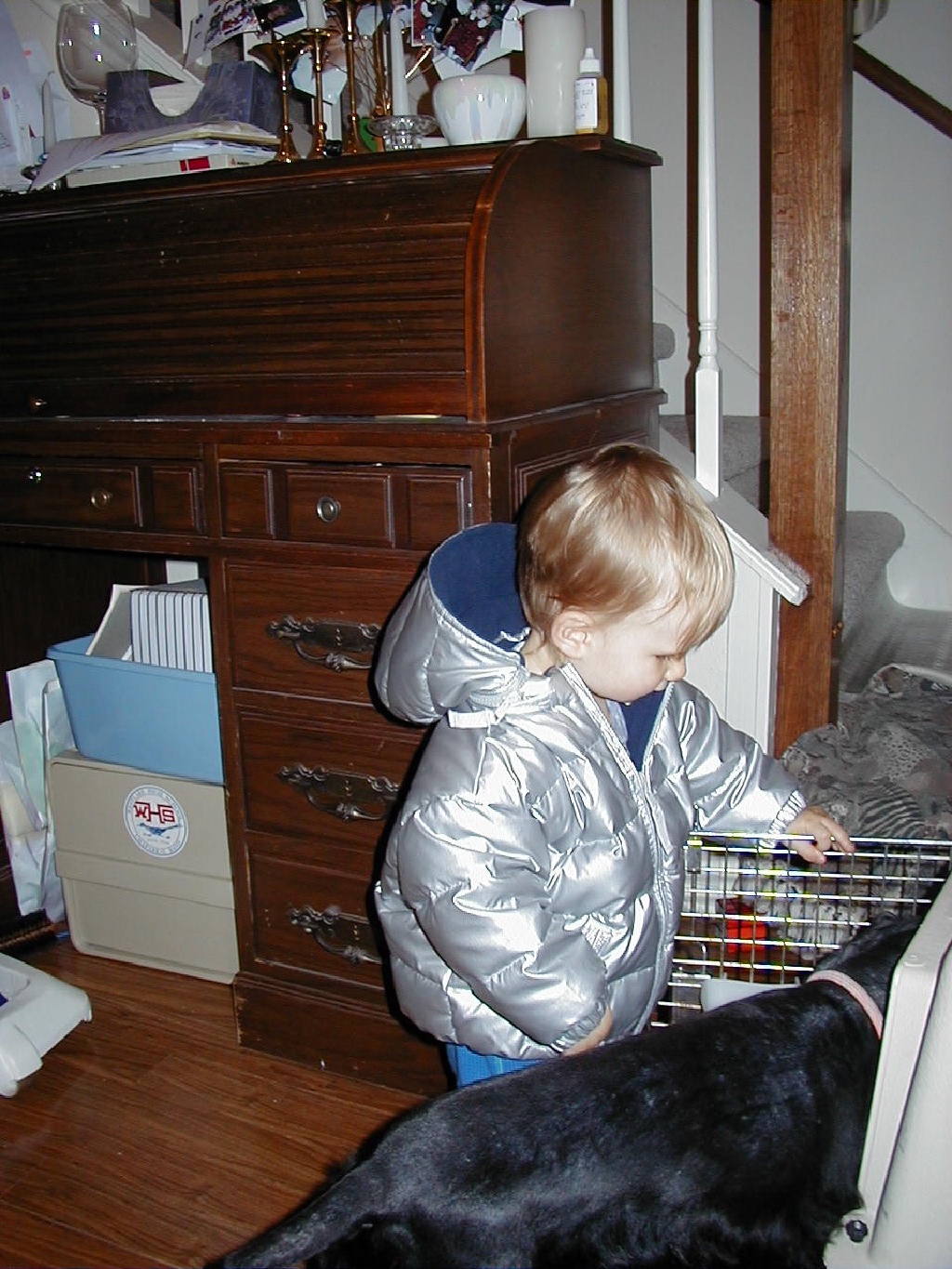 2007/11(November)/Scout-Remembered/1024x768_2000-11-10-Chance-Scout-kennel-2.jpg