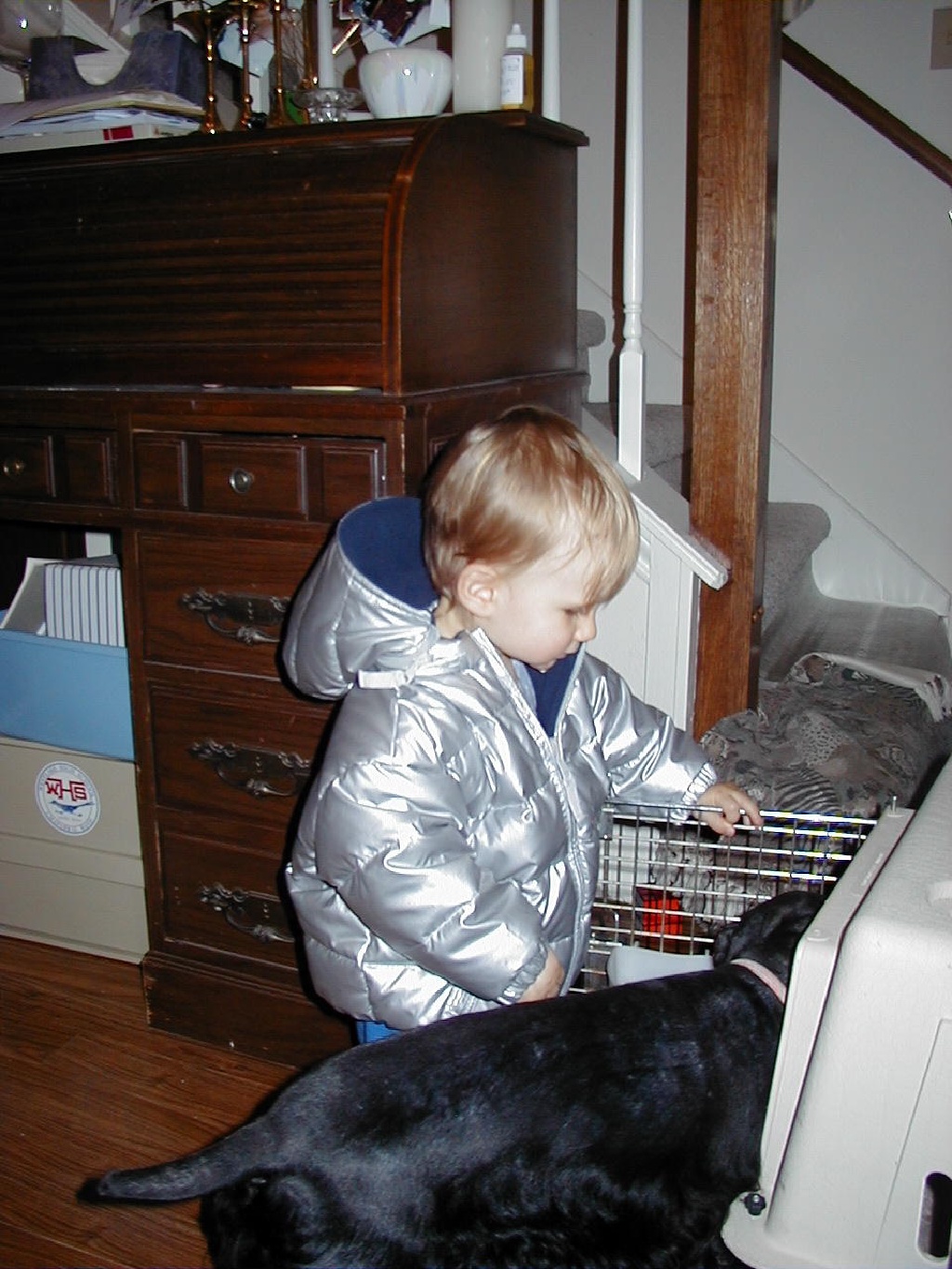 2007/11(November)/Scout-Remembered/1024x768_2000-11-10-Chance-Scout-kennel-3.jpg